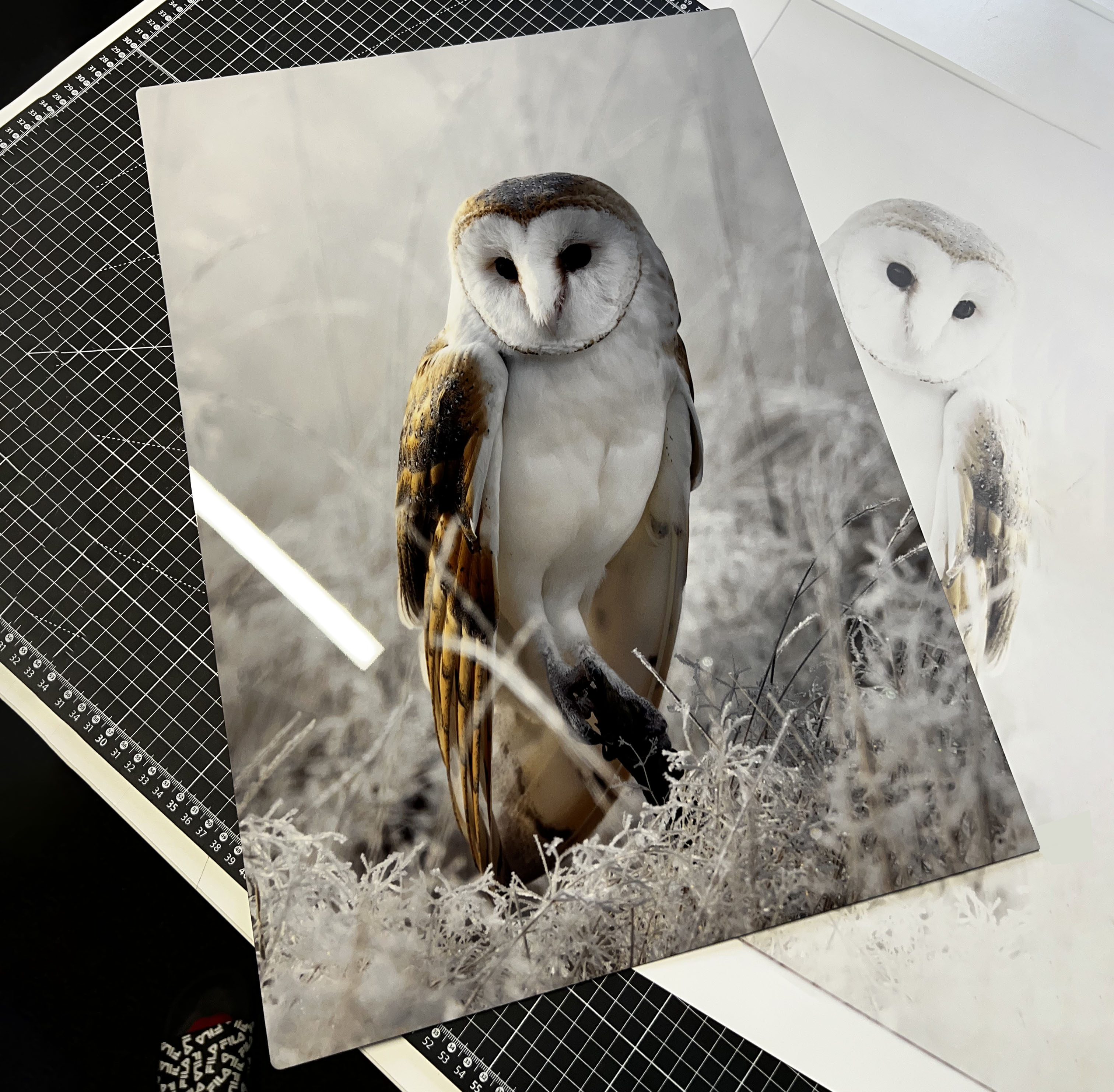 Z fotky zákzniká, metalický obraz se sovou pálenou