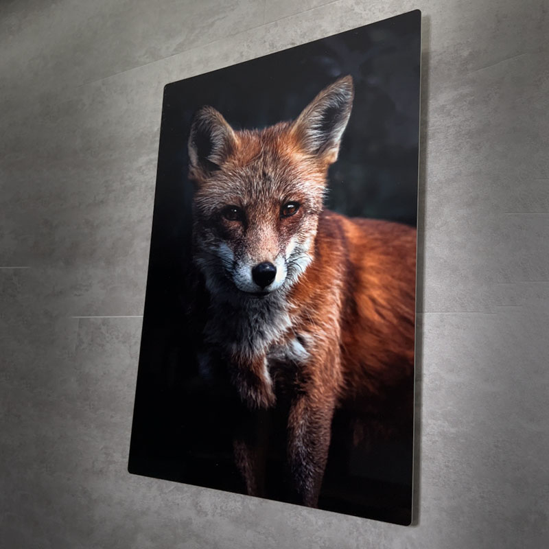Obraz z fotky, liška na metalickém obraze